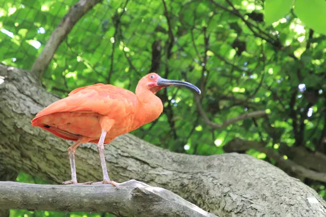 Begegnungen😍🌞 | Foto: Ralf Röser
