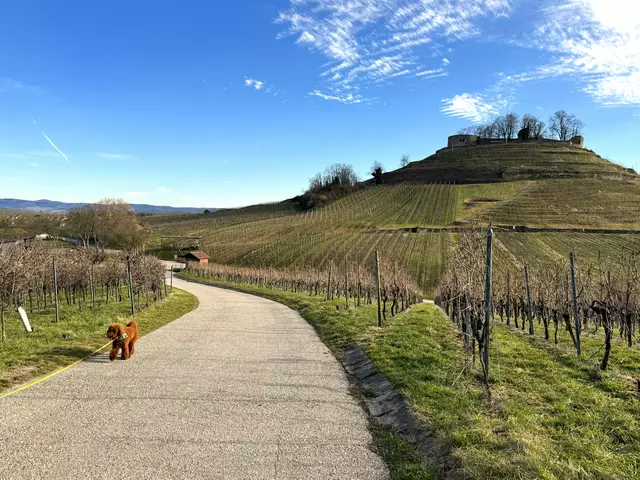 Foto: Heide Böllinger aus Bad Friedrichshall