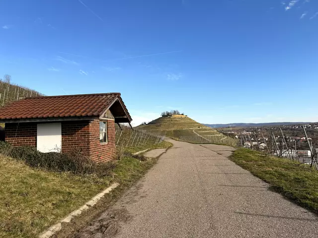 Foto: Heide Böllinger aus Bad Friedrichshall