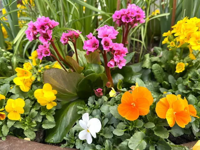 Foto: Heide Böllinger aus Bad Friedrichshall