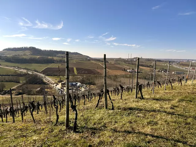 Foto: Heide Böllinger aus Bad Friedrichshall