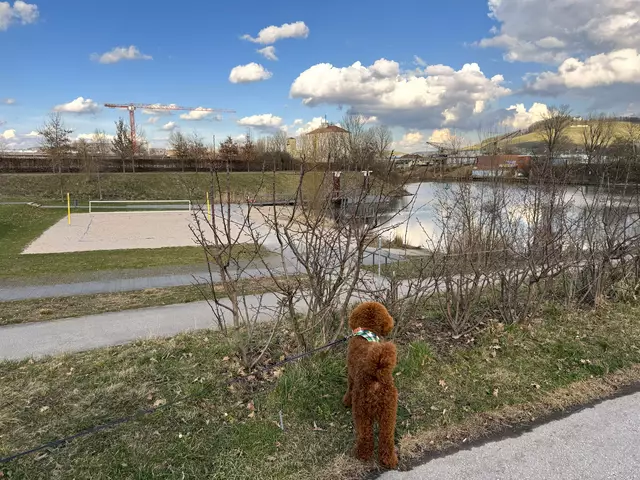 Foto: Heide Böllinger aus Bad Friedrichshall