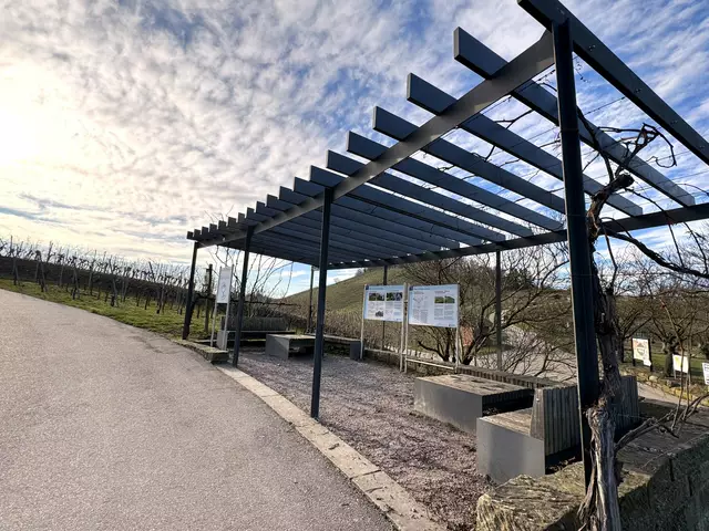 Foto: Heide Böllinger aus Bad Friedrichshall