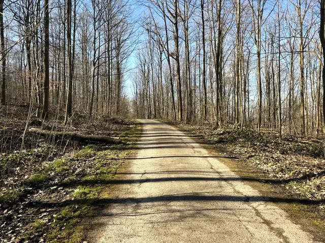 Foto: Heide Böllinger aus Bad Friedrichshall