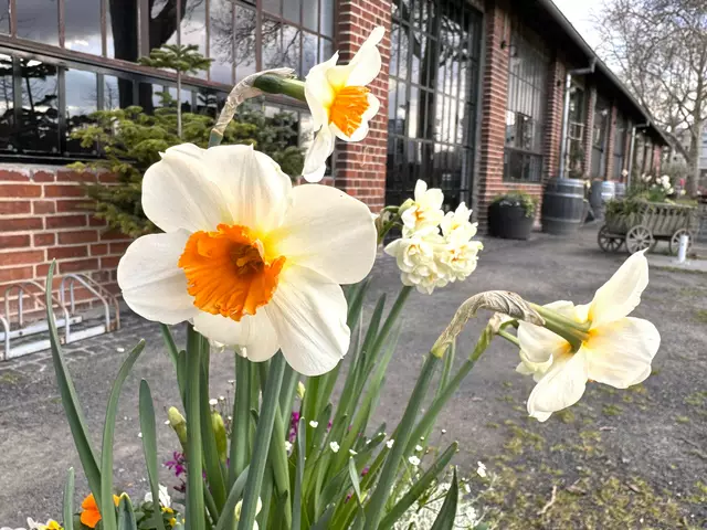 Foto: Heide Böllinger aus Bad Friedrichshall