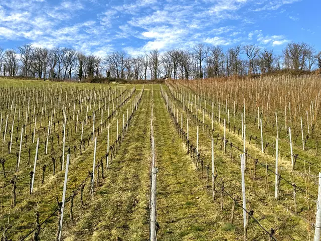 Foto: Heide Böllinger aus Bad Friedrichshall