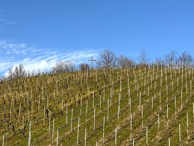 Foto: Heide Böllinger aus Bad Friedrichshall