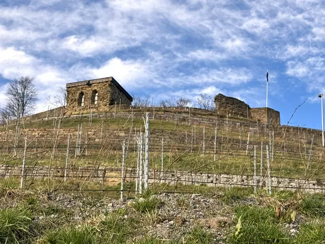 Foto: Heide Böllinger aus Bad Friedrichshall