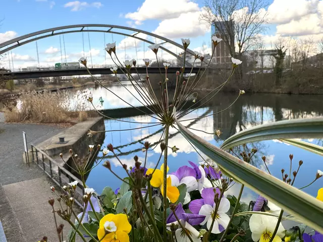 Foto: Heide Böllinger aus Bad Friedrichshall