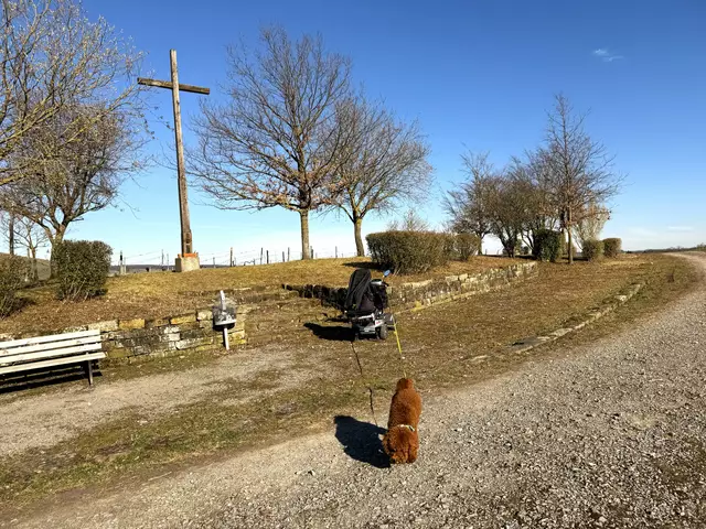 Foto: Heide Böllinger aus Bad Friedrichshall
