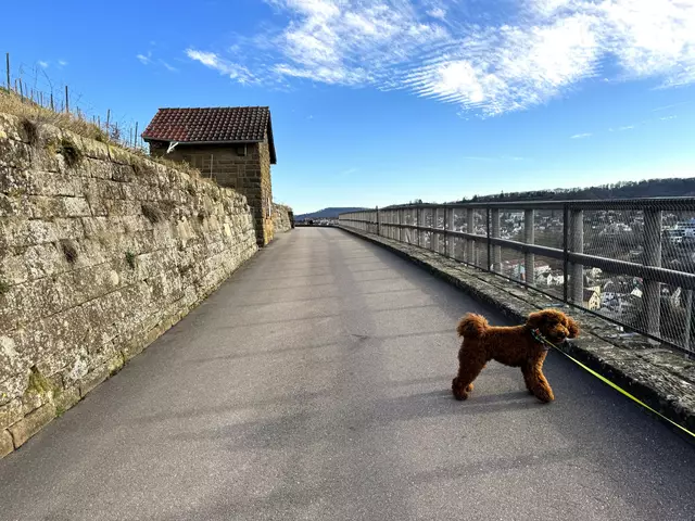 Foto: Heide Böllinger aus Bad Friedrichshall