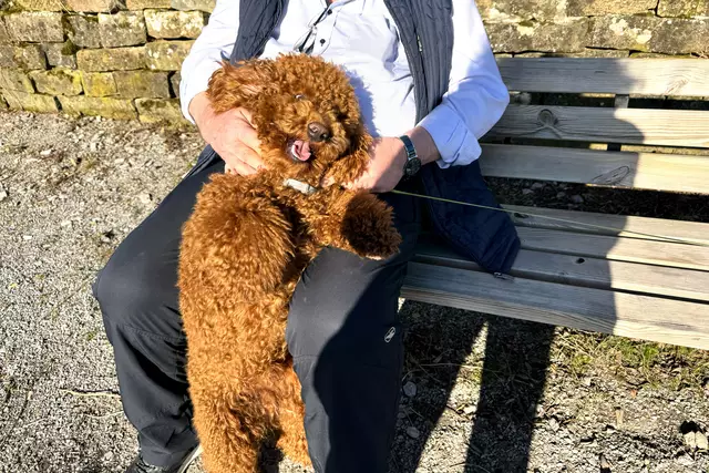 Foto: Heide Böllinger aus Bad Friedrichshall