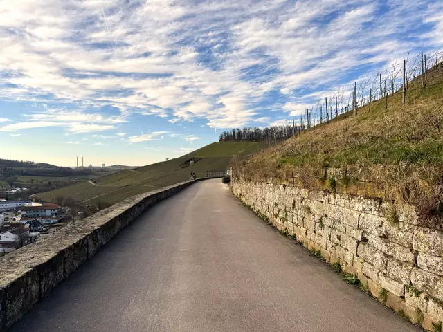 Foto: Heide Böllinger aus Bad Friedrichshall