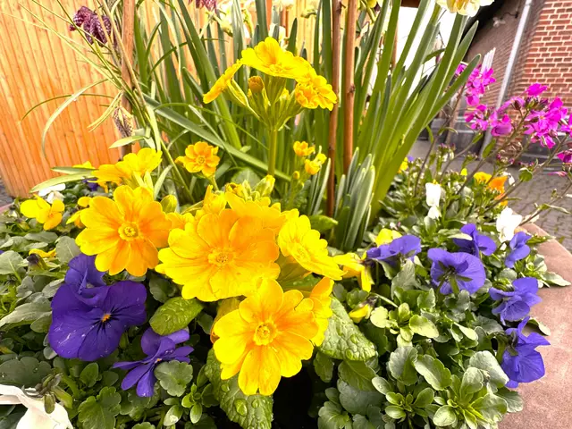 Foto: Heide Böllinger aus Bad Friedrichshall