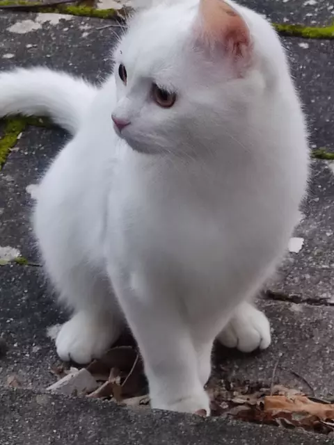 Scheu ist sie nicht  | Foto: Daniela Somers