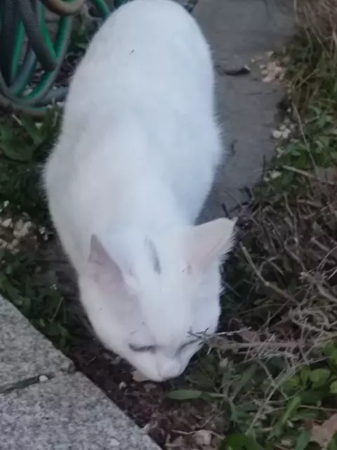 Neugierig  | Foto: Daniela Somers