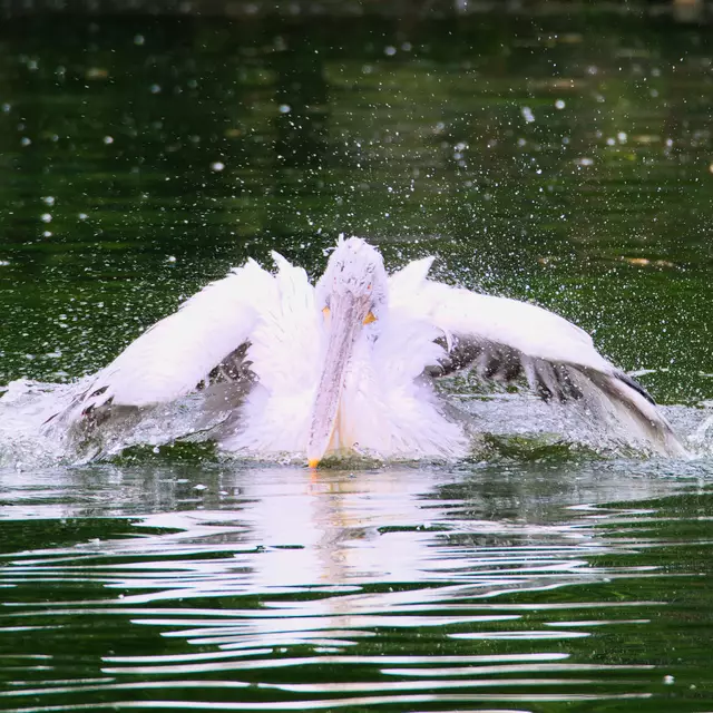 Olympus OM-D e-m5 Mark iii 
Bearbeitung mit Luminar Neo  | Foto: Sarah Aksamit-Grolik