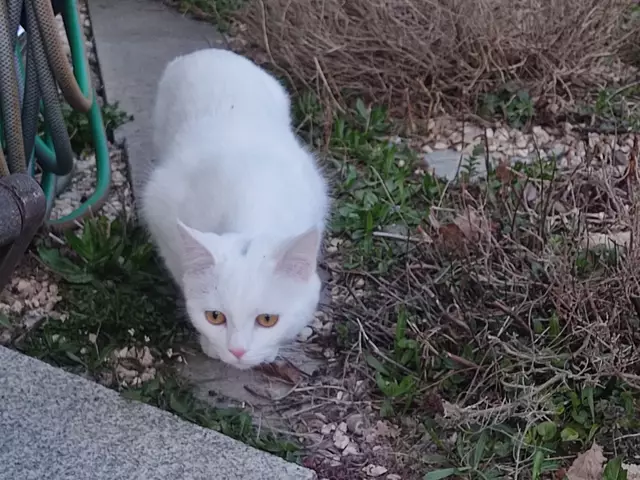 Einfach süß  | Foto: Daniela Somers