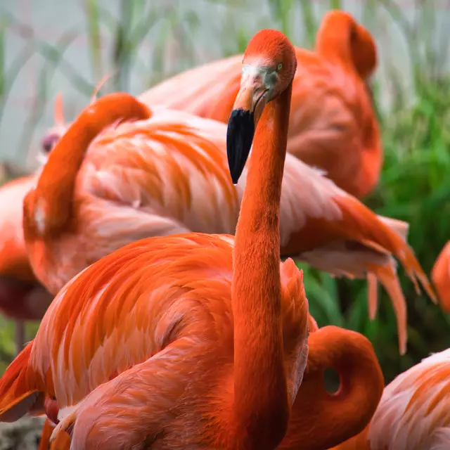 Olympus OM-D e-m5 Mark iii 
Bearbeitung mit Luminar Neo  | Foto: Sarah Aksamit-Grolik