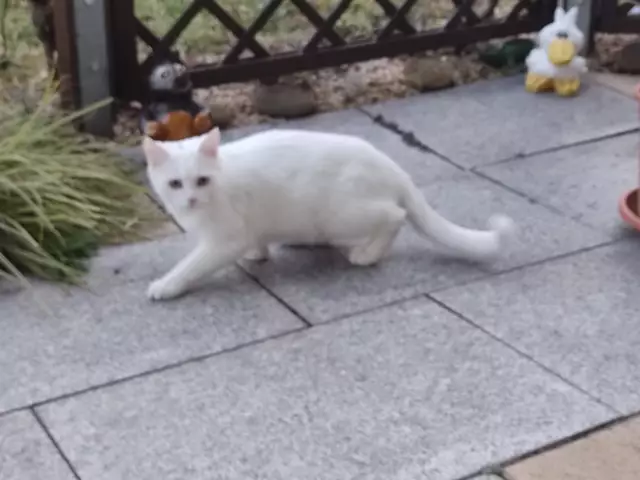 Bestimmt noch ziemlich jung. | Foto: Daniela Somers