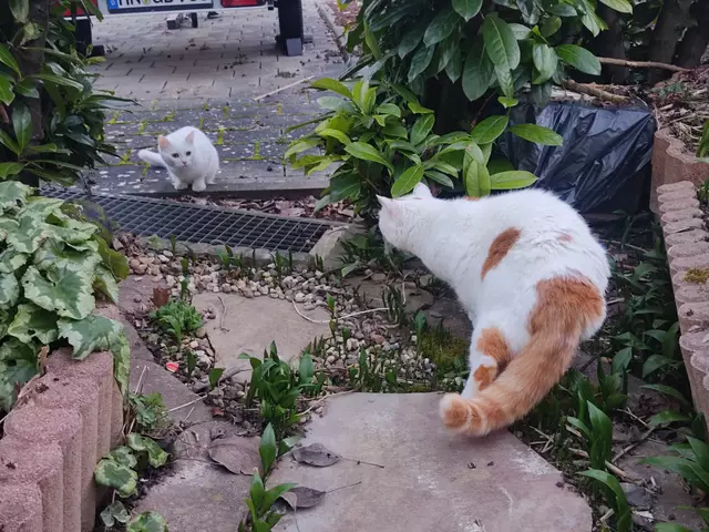Bin stolz auf meine Samira. Trotz der Faucherei der Kleinen, hat sie nicht aggressiv reagiert. | Foto: Daniela Somers