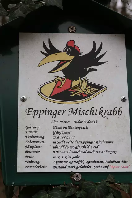 Foto: Eduard Warenik