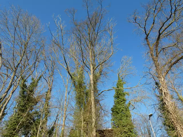 Der Himmel ist strahlend blau - schöner kann ein Tag nicht sein.  | Foto: sigischlottke