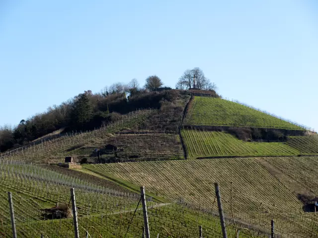 Links herum hinauf | Foto: WandernGabyErich