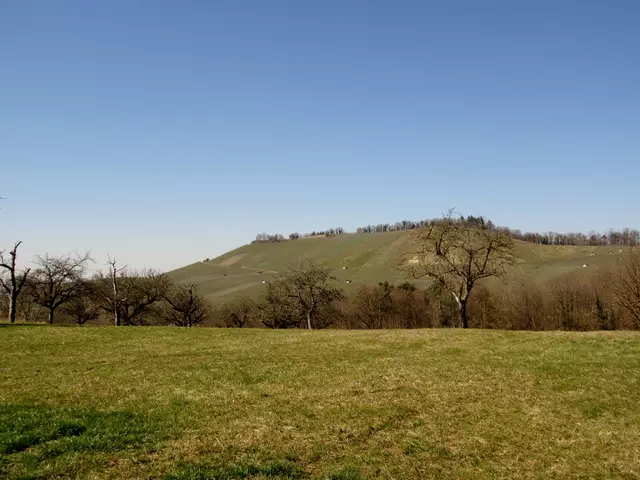 Blick zurück von der Feld-Wald-Hütte auf der rechten Seite des Scheuerbergs | Foto: WandernGabyErich