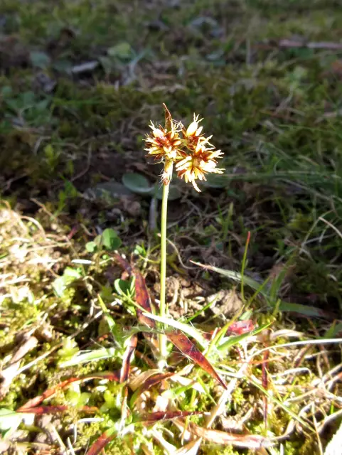 Foto: WandernGabyErich