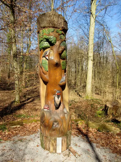 Am Waldlehrpfad | Foto: WandernGabyErich