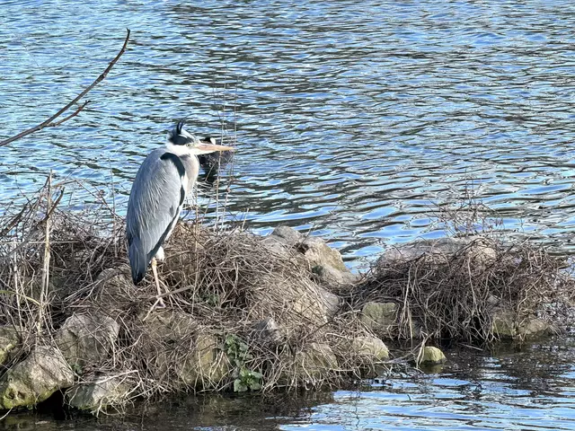 Foto: Heide Böllinger aus Bad Friedrichshall