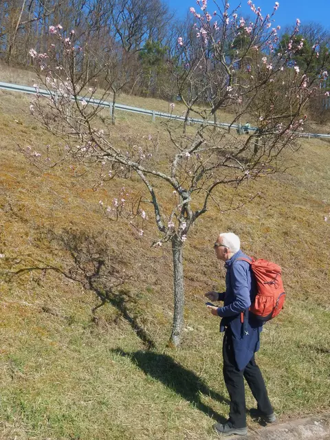 noch nicht alle Knospen sind offen | Foto: E. Rosendorf