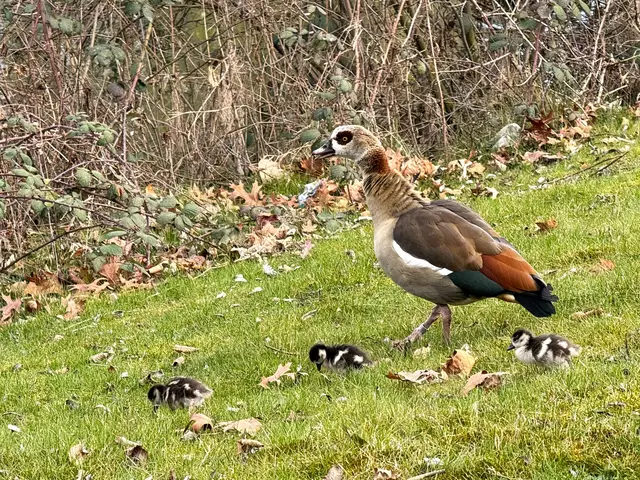 Foto: Heide Böllinger aus Bad Friedrichshall