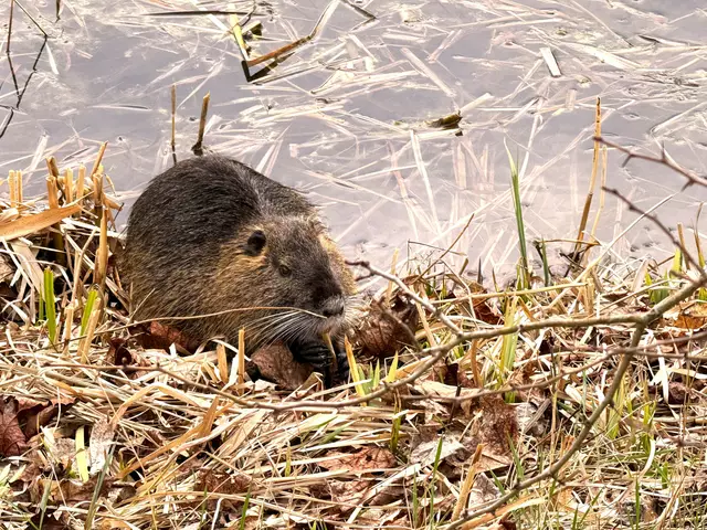 Foto: Heide Böllinger aus Bad Friedrichshall