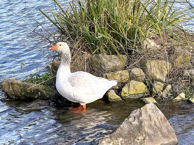 Foto: Heide Böllinger aus Bad Friedrichshall