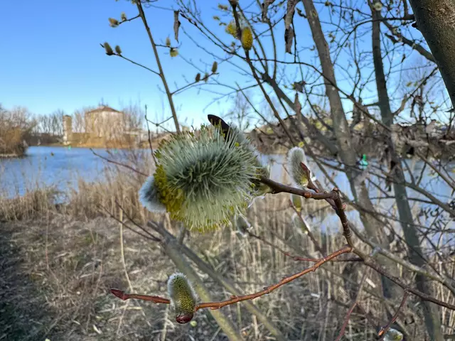 Foto: Heide Böllinger aus Bad Friedrichshall
