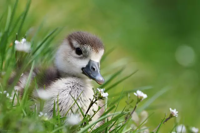 Jetzt kann das Sandmännchen kommen... | Foto: Moni Bordt