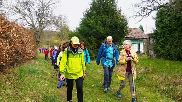 Sehr schöner Hohlweg abwärts nach Diefenbach. | Foto: Isolde Reitz