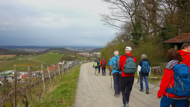 Blick auf Sternenfels und ins Kraichgau. | Foto: Isolde Reitz