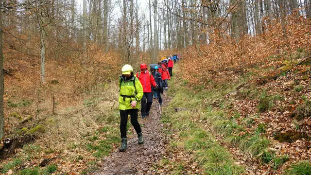 Abstieg zum Wanderheim Füllmenbacher Hof. | Foto: Isolde Reitz