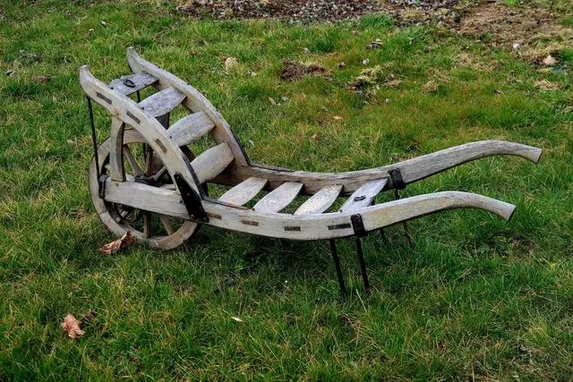 Foto: Eduard Warenik