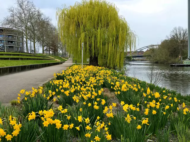 Foto: Heidrun Rosenberger