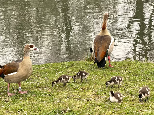 Foto: Heide Böllinger aus Bad Friedrichshall
