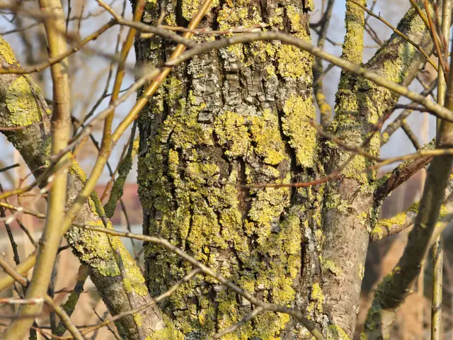 Foto: Heidrun Rosenberger