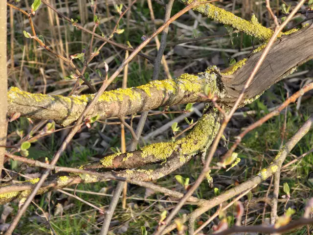 Foto: Heidrun Rosenberger