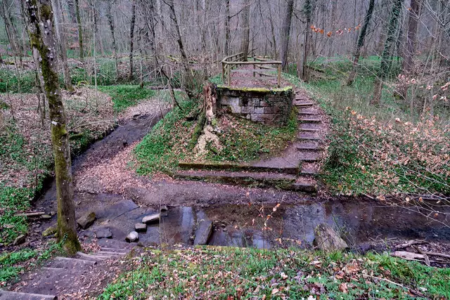 Foto: Eduard Warenik