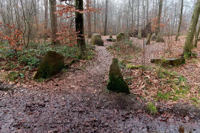 Foto: Eduard Warenik