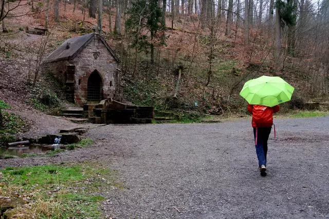 Foto: Eduard Warenik