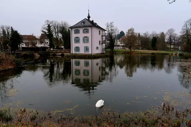 Foto: Eduard Warenik